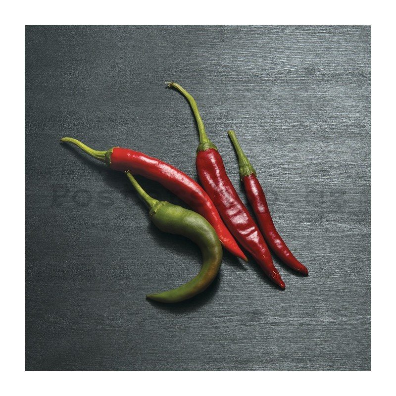 Obraz na plátně: Chilli papričky - 30x30 cm