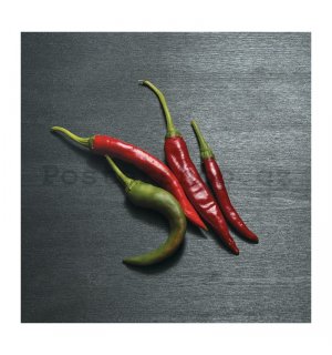 Obraz na plátně: Chilli papričky - 30x30 cm