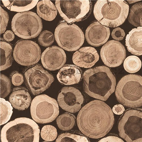 Vinylová omyvatelná tapeta dřevo kmeny
