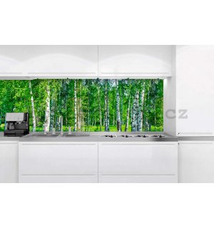 Samolepící omyvatelná fototapeta za kuchyňskou linku - Břízy, 180x60 cm