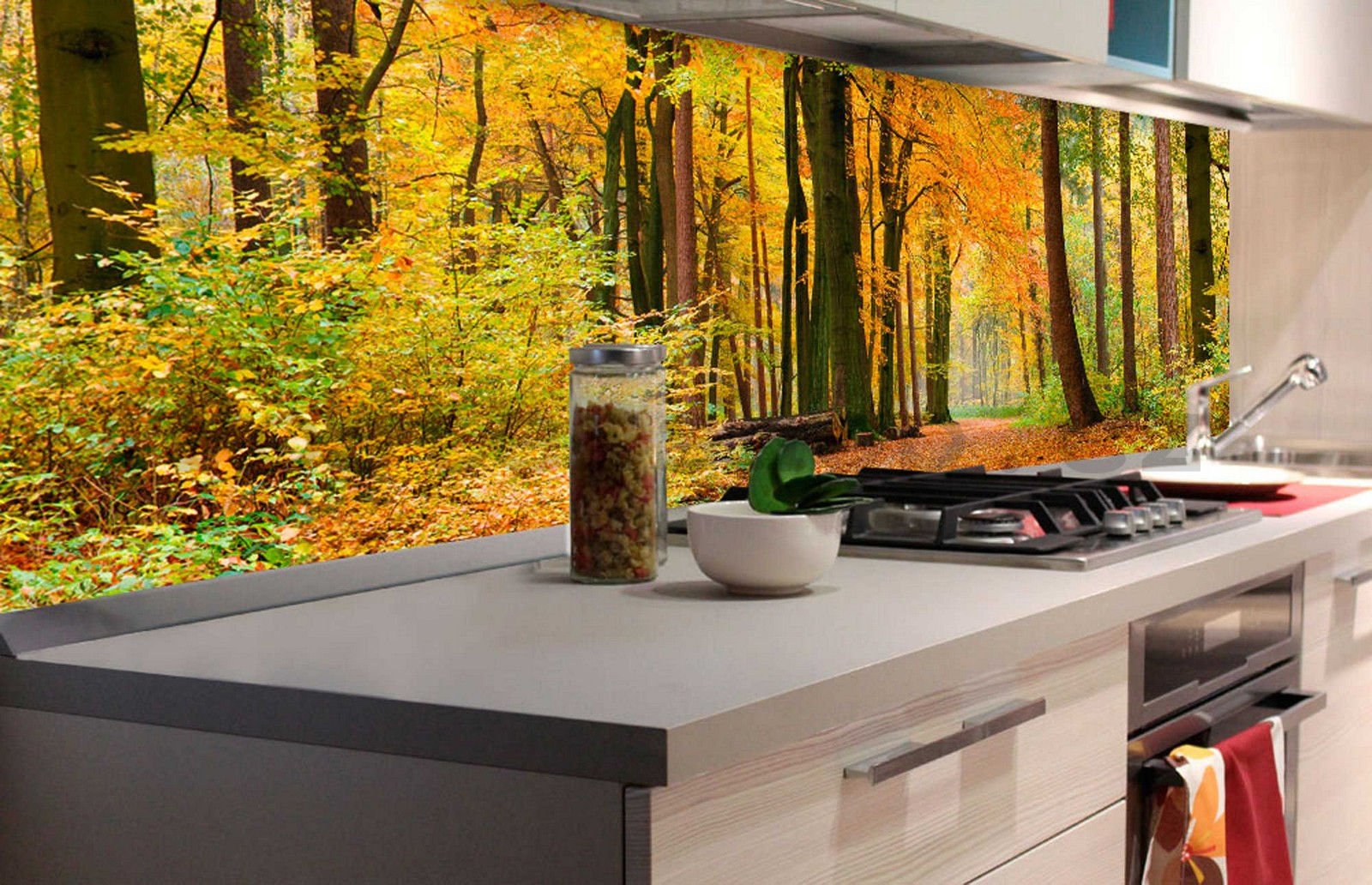 Samolepící omyvatelná fototapeta za kuchyňskou linku - Podzimní les, 180x60 cm