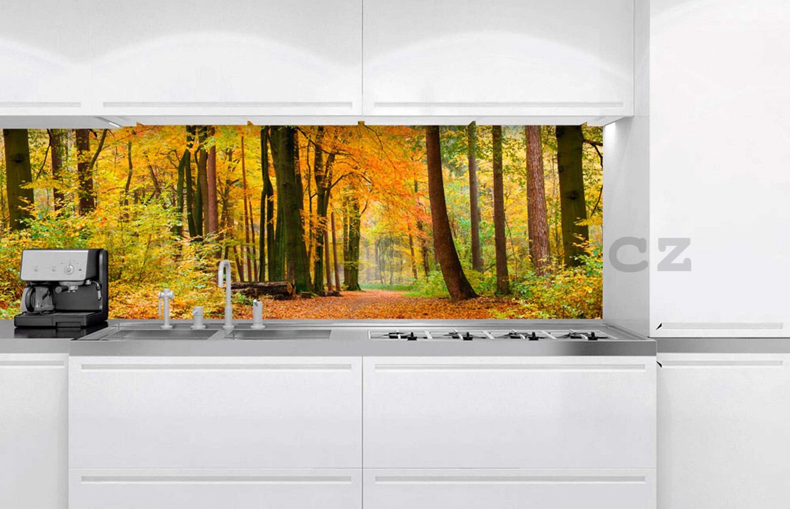 Samolepící omyvatelná fototapeta za kuchyňskou linku - Podzimní les, 180x60 cm