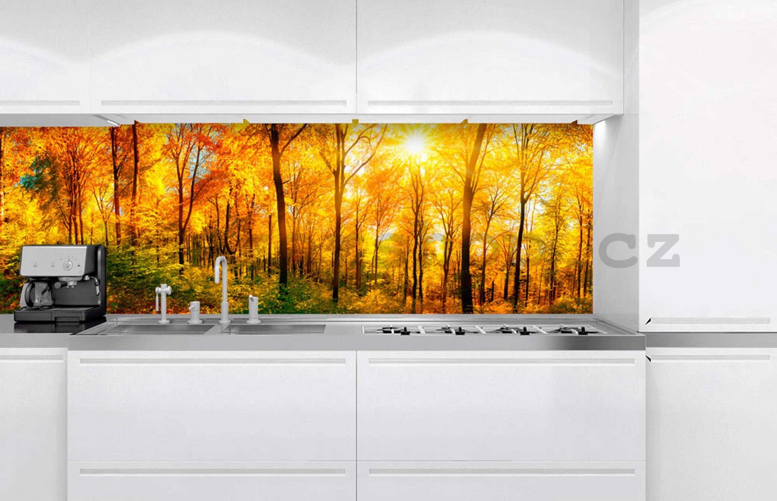 Samolepící omyvatelná tapeta za kuchyňskou linku - Podzimní slunce v lese, 180x60 cm