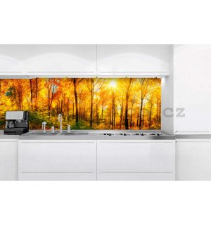 Samolepící omyvatelná tapeta za kuchyňskou linku - Podzimní slunce v lese, 180x60 cm