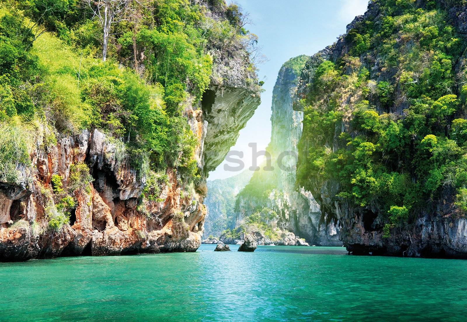 Fototapeta vliesová: Thajsko (1) - 416x254 cm