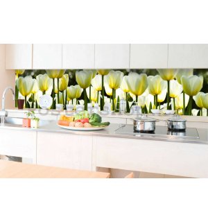 Samolepící omyvatelná fototapeta za kuchyňskou linku - Bílé tulipány, 350x60 cm