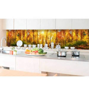 Samolepící omyvatelná tapeta za kuchyňskou linku - Podzimní slunce v lese, 350x60 cm
