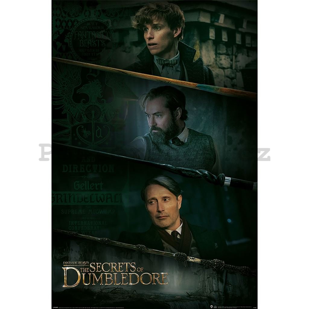 Plakát - Fantastic Beasts Secrets of the Dumbledore, Fantastická zvířata Brumbálova tajem