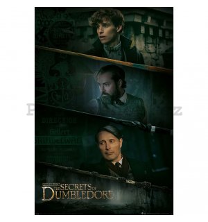 Plakát - Fantastic Beasts Secrets of the Dumbledore, Fantastická zvířata Brumbálova tajem