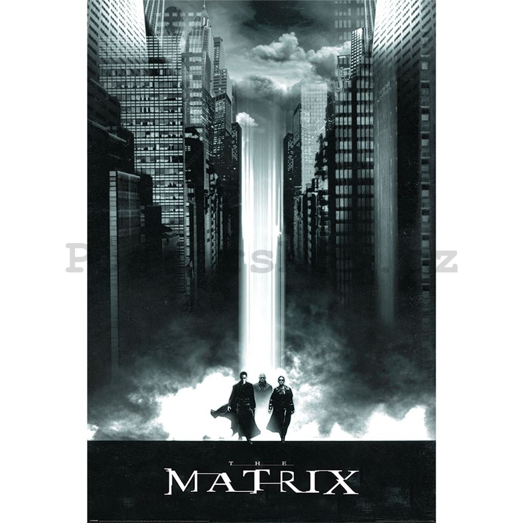 Plakát - The Matrix (Lightfall)