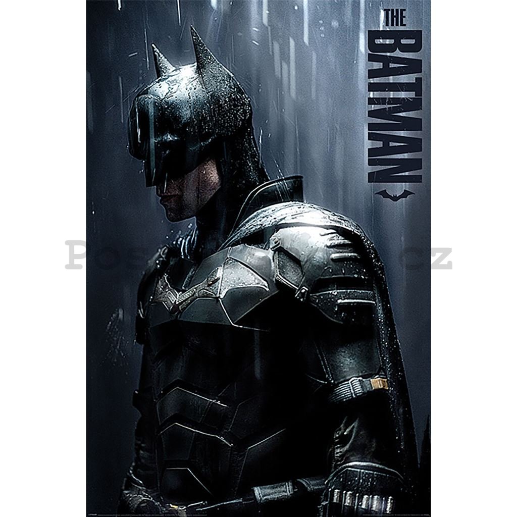 Plakát - The Batman (Downpour)