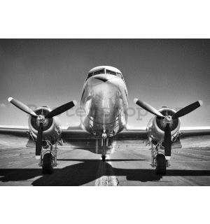 Fototapeta vliesová: Černobílé letadlo (1) - 368x254 cm