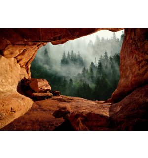 Fototapeta vliesová: Jeskyně u lesa - 254x184 cm