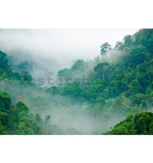 Fototapeta vliesová: Deštný prales - 368x254 cm