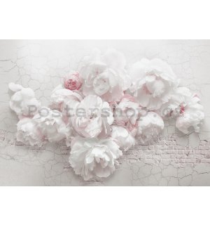 Fototapeta vliesová: Bílé růže na zdi - 368x254 cm