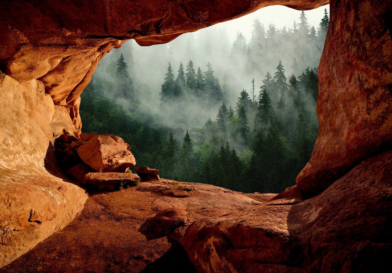 Fototapeta vliesová: Jeskyně u lesa - 368x254 cm