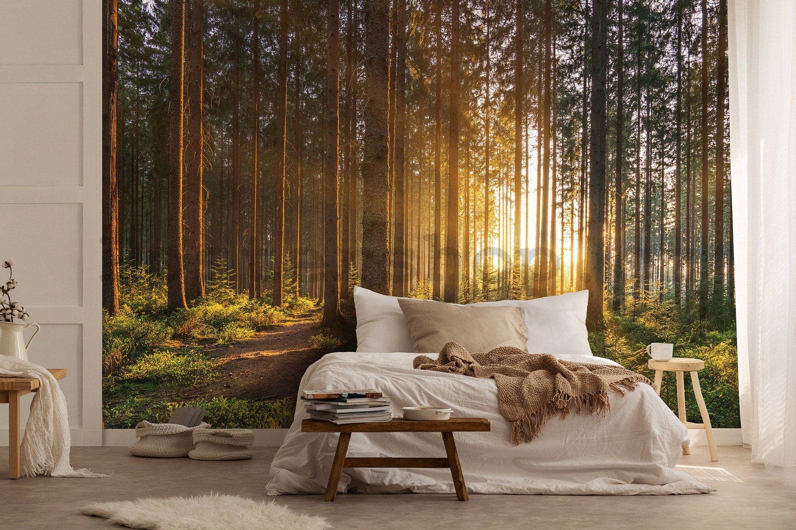Fototapeta vliesová: Západ slunce v lese (2) - 152,5x104 cm