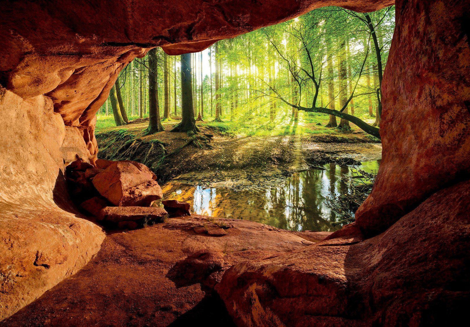 Fototapeta vliesová: Jeskyně u lužního lesa - 416x254 cm