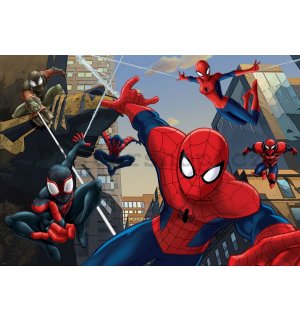 Fototapeta: Spiderman (2) - 254x184 cm