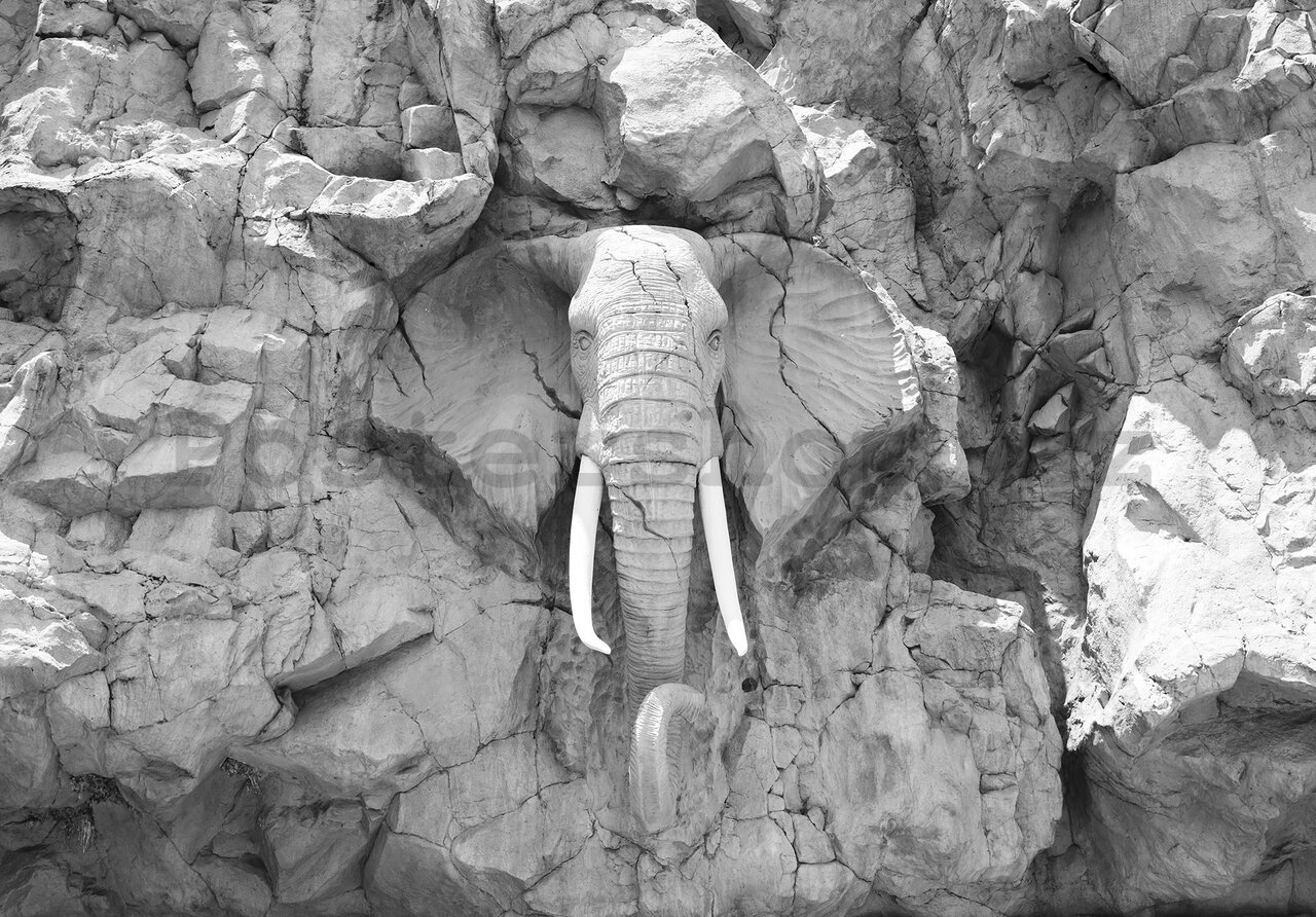 Fototapeta: Hliněný slon (černobílý) - 368x254cm