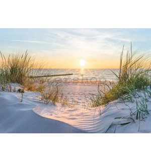 Fototapeta vliesová: Baltská pláž - 368x254 cm