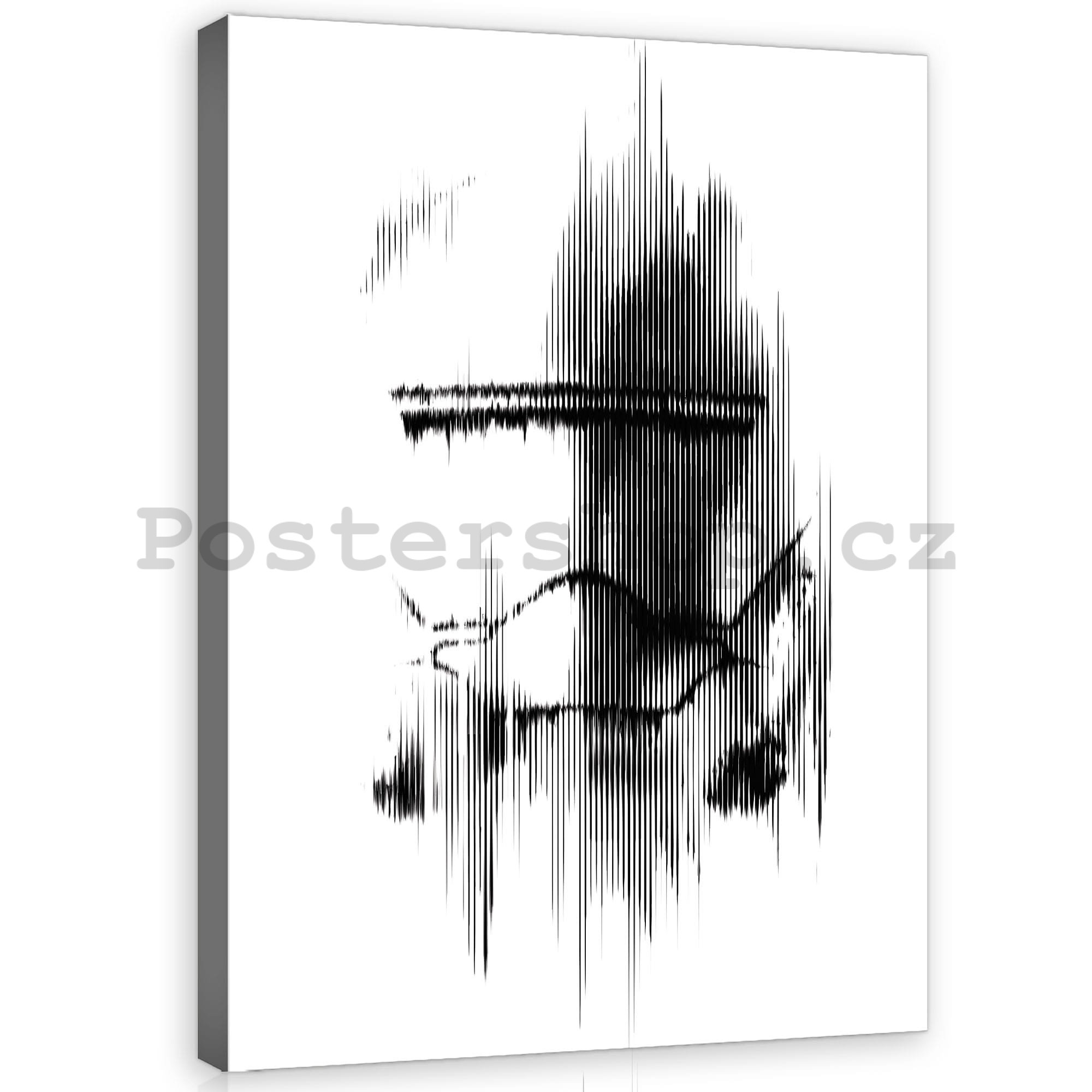 Obraz na plátně: Star Wars First Order Jet Trooper - 75x100 cm
