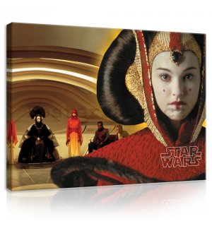 Obraz na plátně: Star Wars (Princezna Amidala) - 100x75 cm