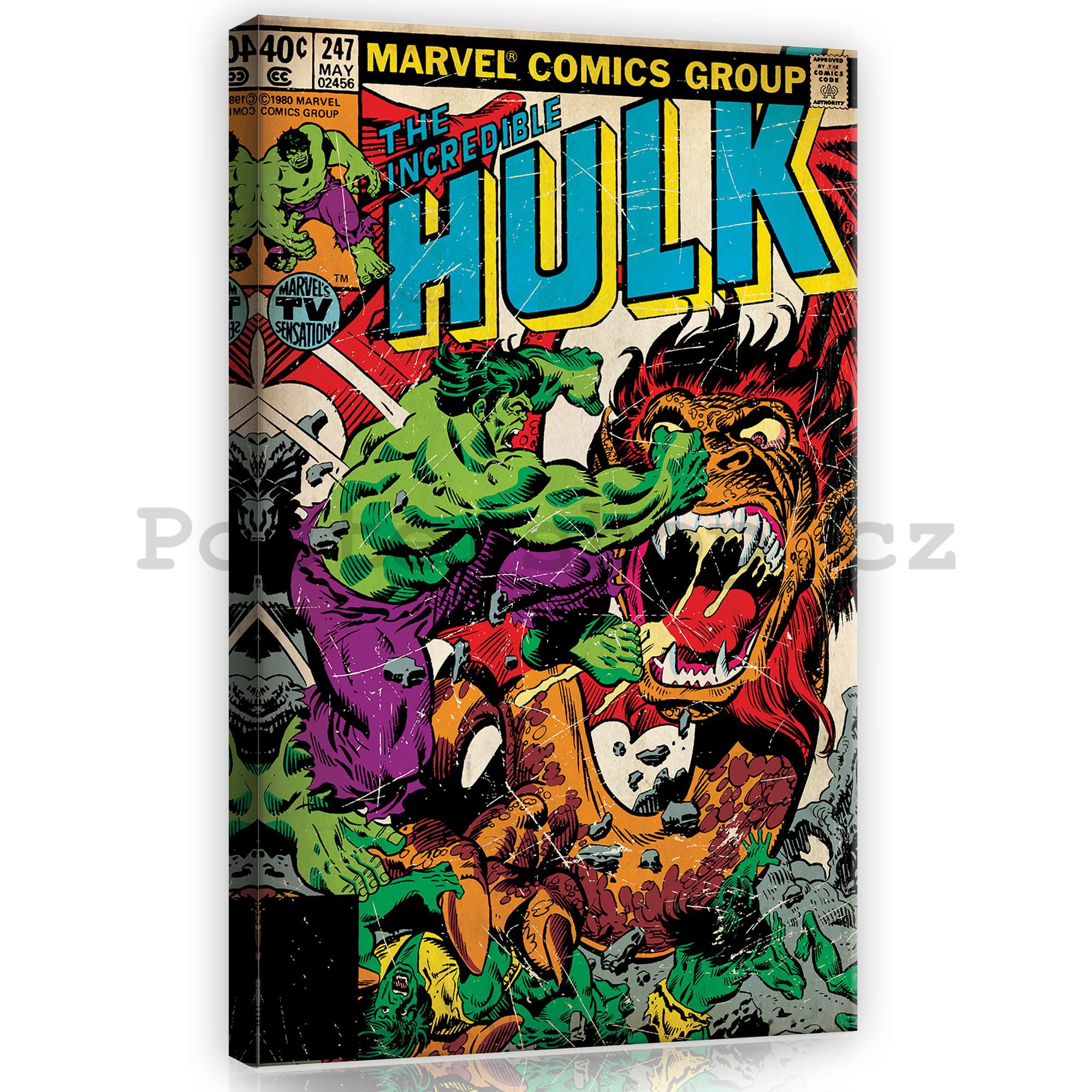 Obraz na plátně: The Incredible Hulk - 40x60 cm