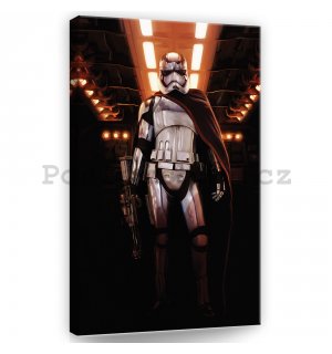 Obraz na plátně: Star Wars Captain Phasma (1) - 40x60 cm