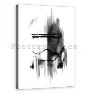 Obraz na plátně: Star Wars First Order Jet Trooper  - 40x60 cm