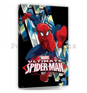 Obraz na plátně: Ultimate Spiderman - 60x40 cm