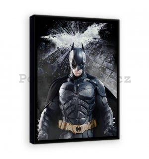 Obraz na plátně: Dark Knight (1) - 40x60 cm