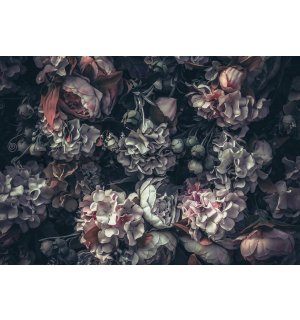 Fototapeta vliesová: Květinová kombinace (2) - 460x300 cm