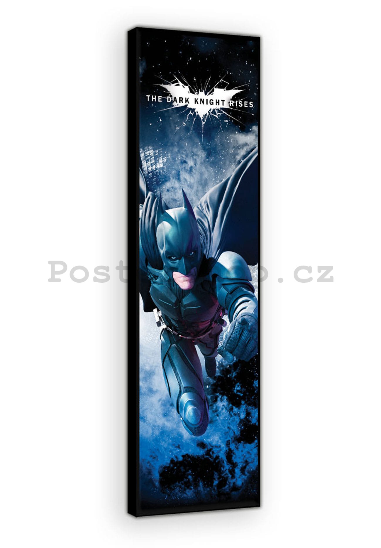 Obraz na plátně: Dark Knight (3) - 45x145 cm