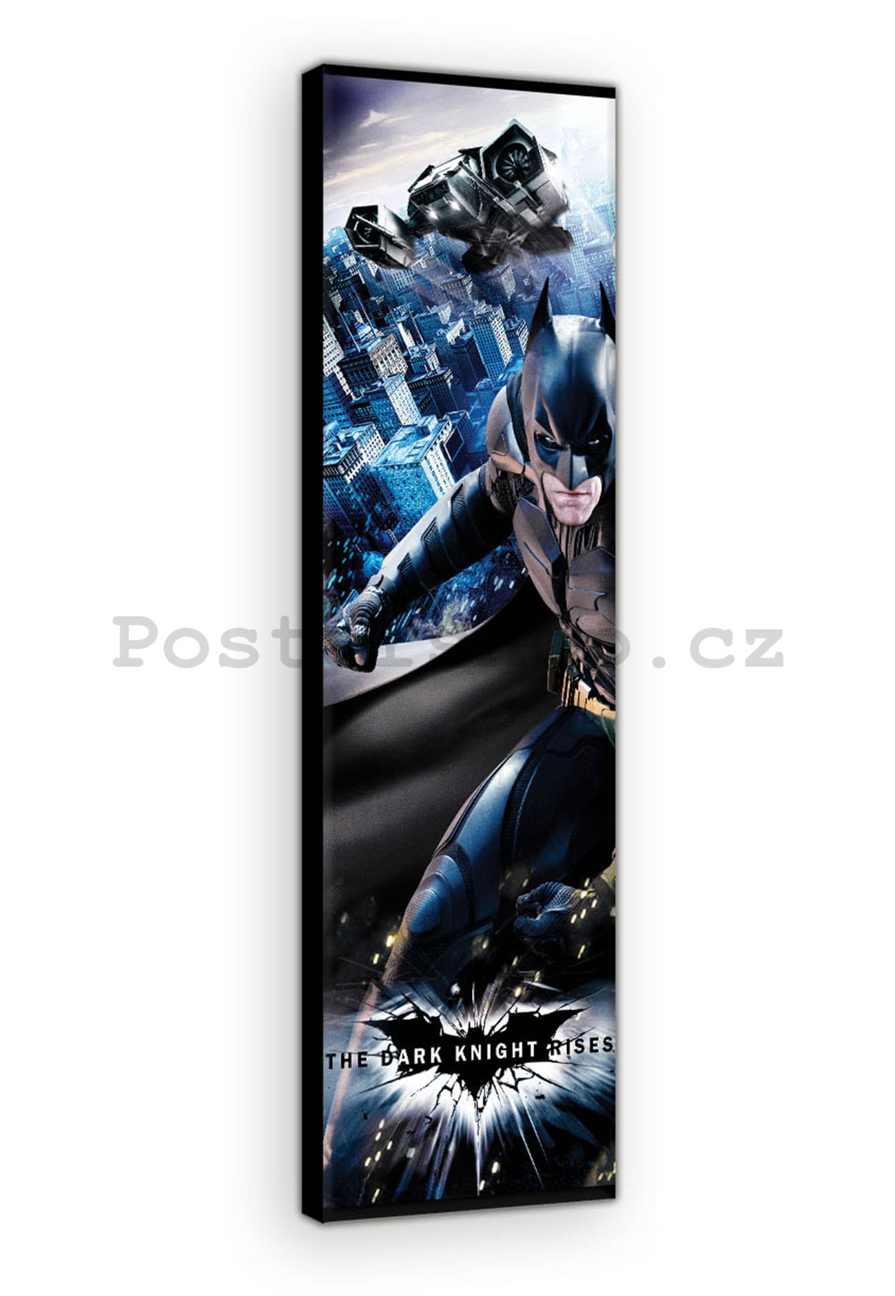 Obraz na plátně: Dark Knight (4) - 45x145 cm