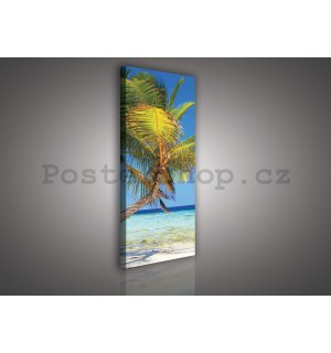Obraz na plátně: Pláž s palmou - 45x145 cm