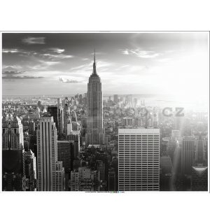 Obraz na plátně: Černobílý Manhattan - 100x75 cm