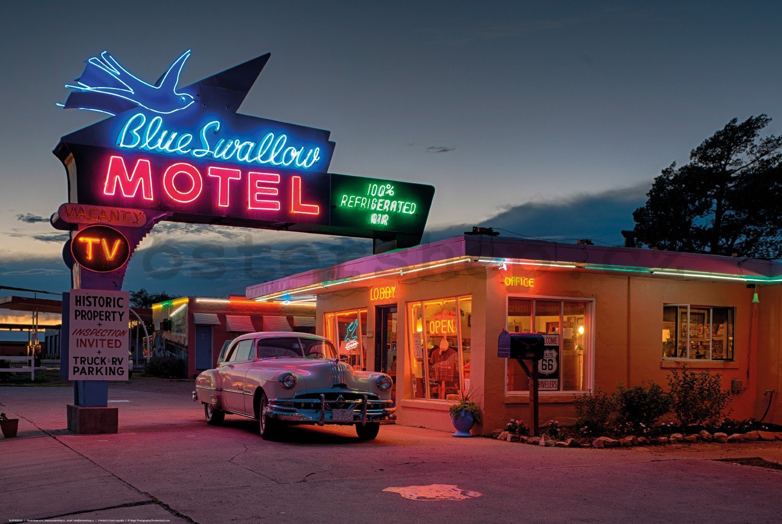 Plakát: Blue Swallow Motel