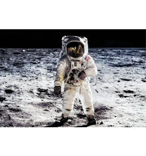 Plakát: Přistání na měsíci (kosmonaut)