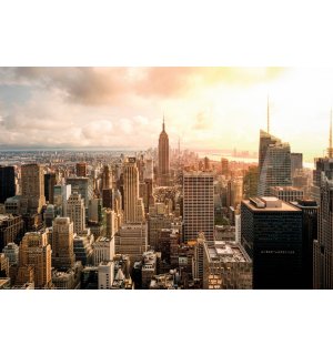 Plakát: Manhattan (sépiový odstín)