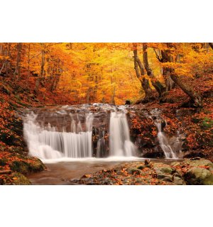 Plakát: Podzimní vodopád