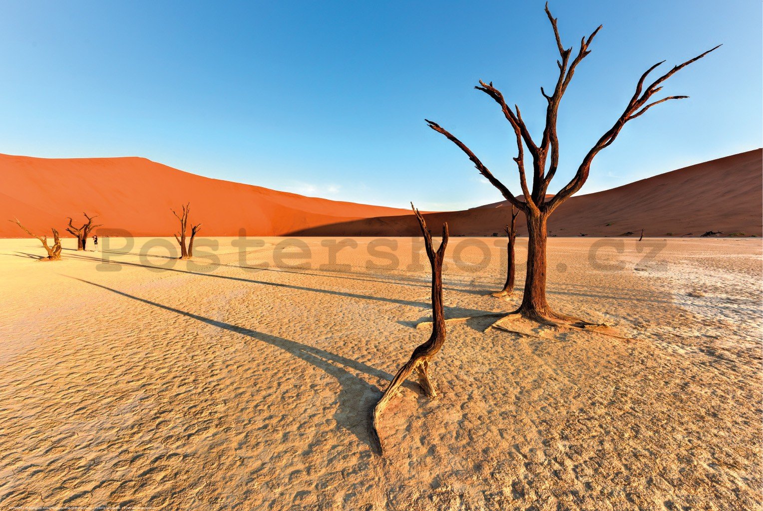 Plakát: Vyprahlá poušť Namib