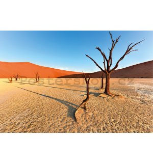 Plakát: Vyprahlá poušť Namib