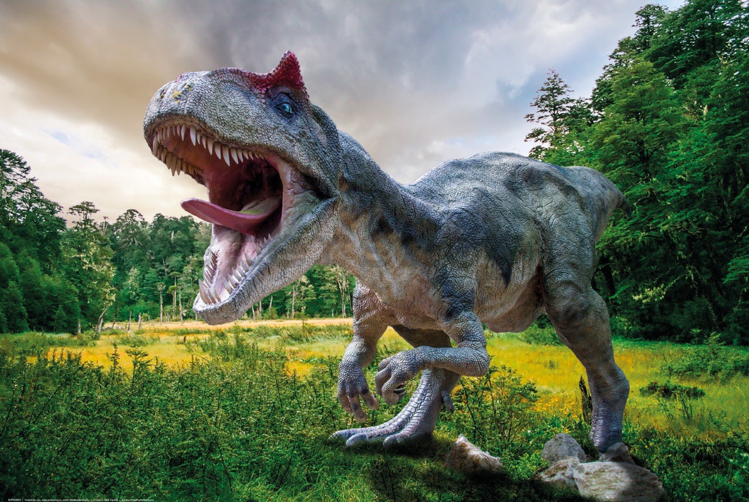 Plakát: Naštvaný tyranosaurus