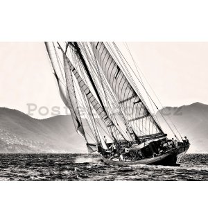 Plakát: Jachting (černobílá plachetnice)
