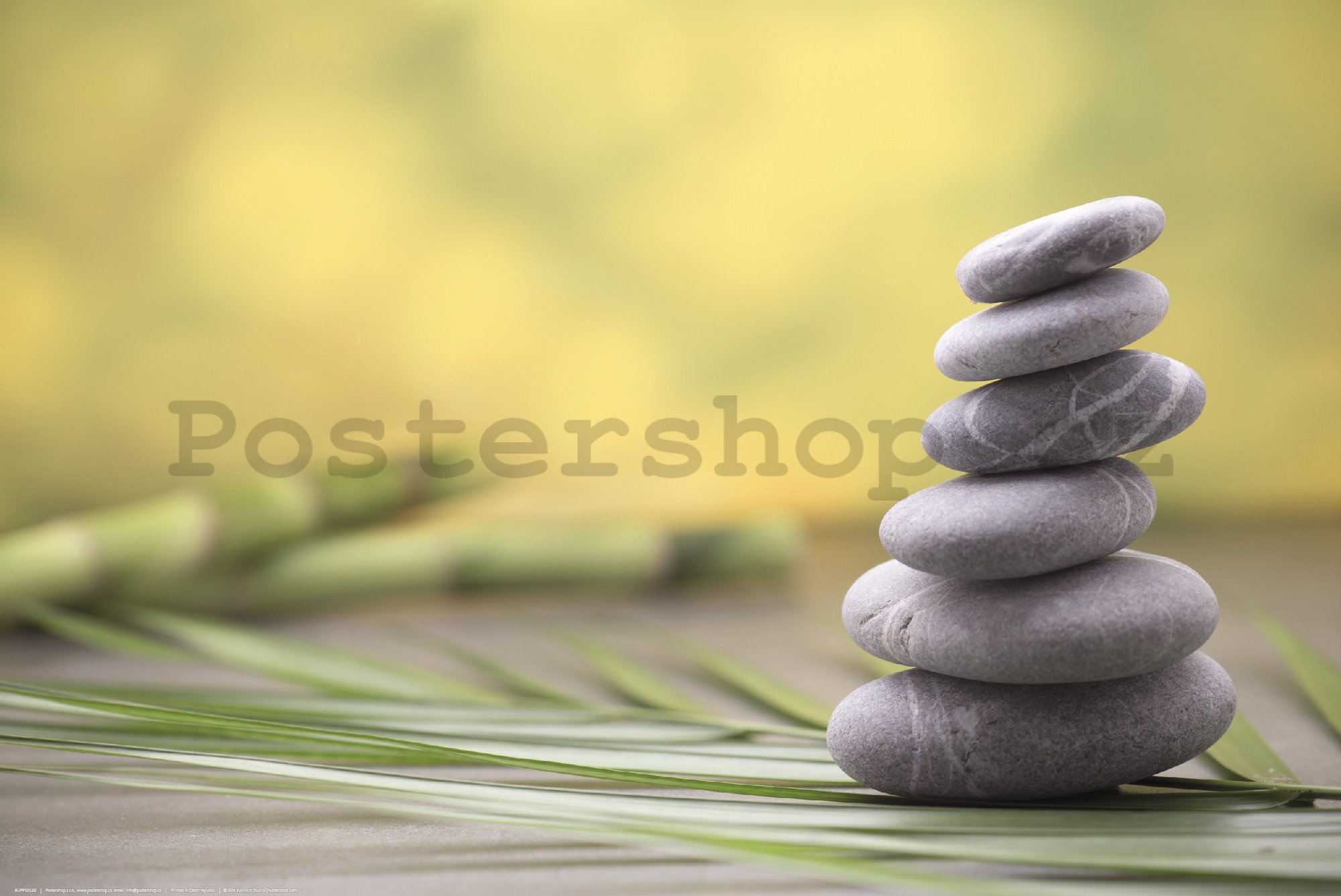 Plakát: Zen kameny a bambus
