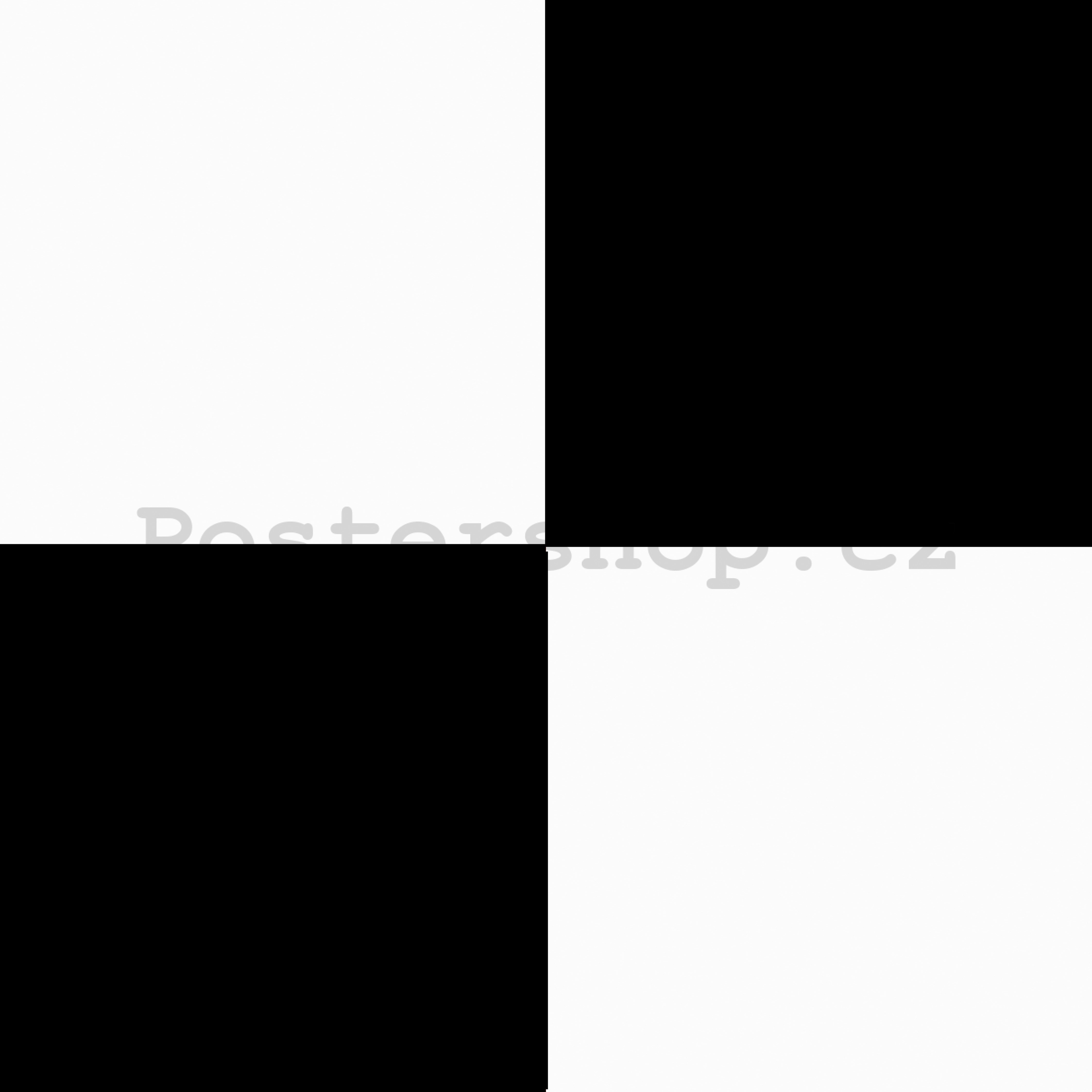 Vinylová omyvatelná tapeta černo bílé kostky - šachovnice