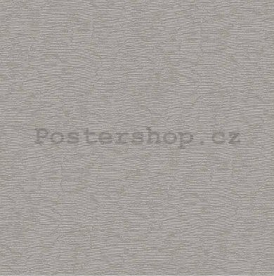 Vinylová omyvatelná tapeta strukturovaná odstín šedo-stříbrné (6)