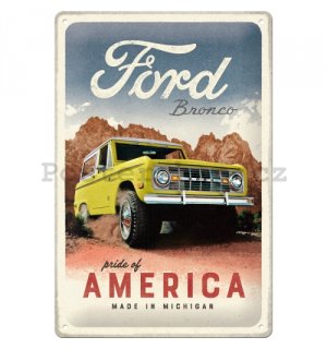 Plechová cedule: Ford Bronco (Pride of America) - 20x30 cm