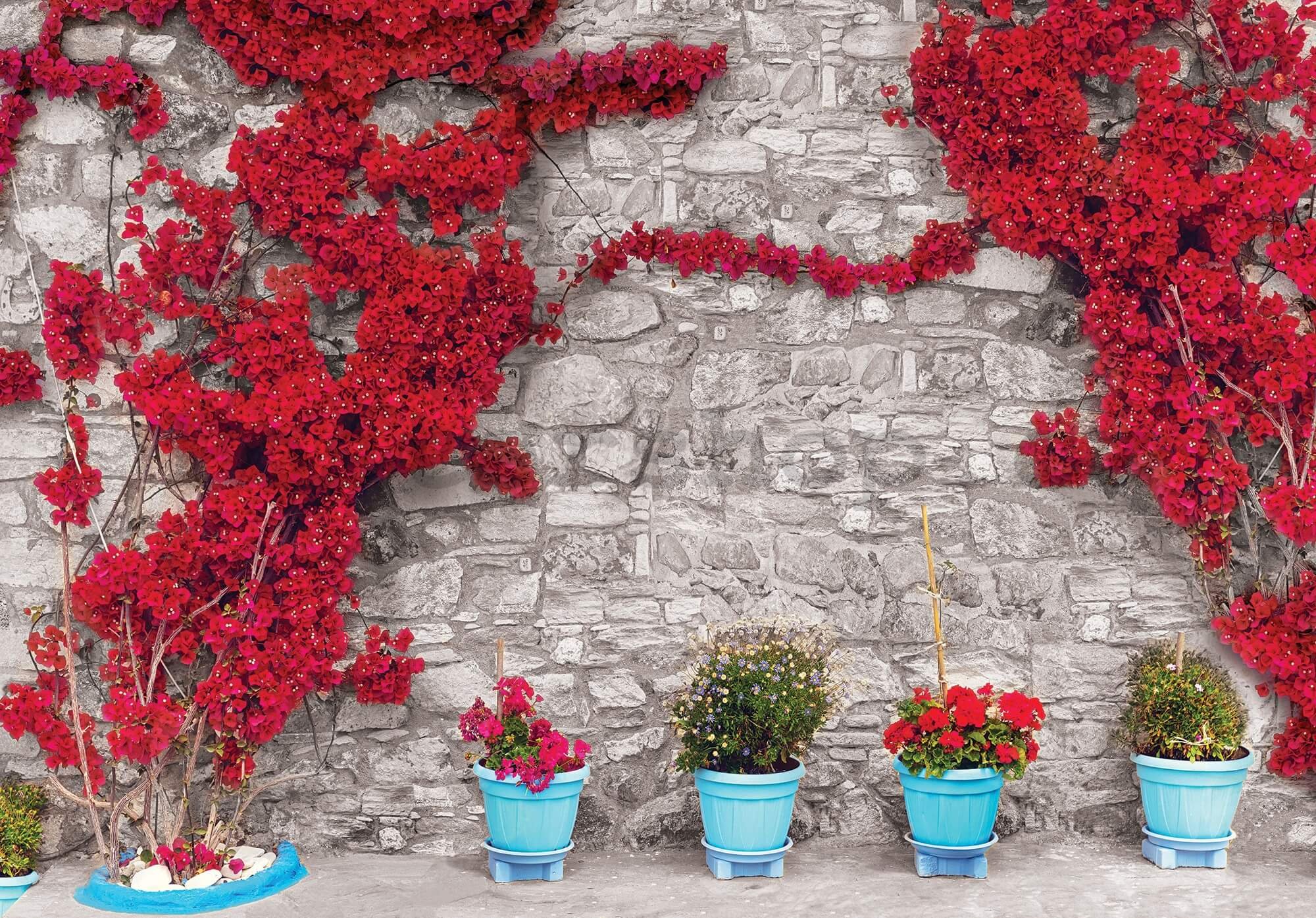 Fototapeta vliesová: Červená květinová zeď (1) - 416x254 cm